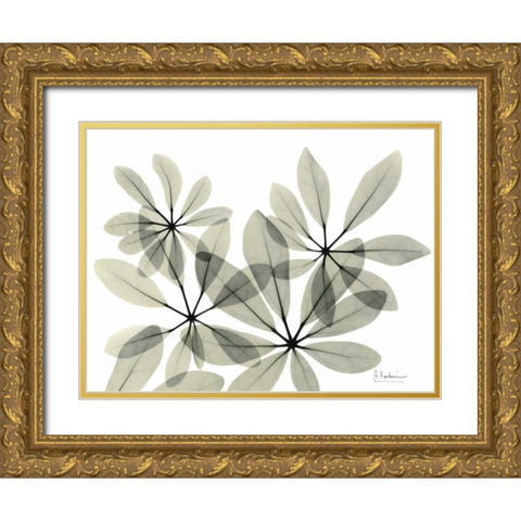 Scheffleur in Green Gold Ornate Wood Framed Art Print with Double Matting by Koetsier, Albert