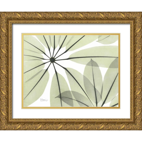 Brassaia Close Up in Green Gold Ornate Wood Framed Art Print with Double Matting by Koetsier, Albert