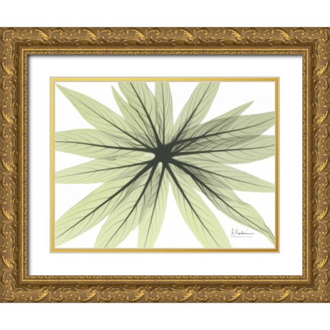 Echium in Green Gold Ornate Wood Framed Art Print with Double Matting by Koetsier, Albert