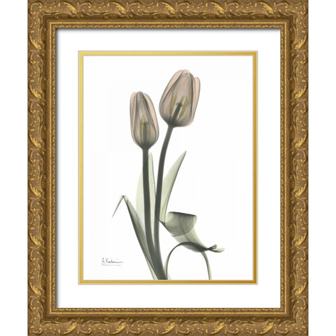 Tulip - Marjorie Gold Ornate Wood Framed Art Print with Double Matting by Koetsier, Albert