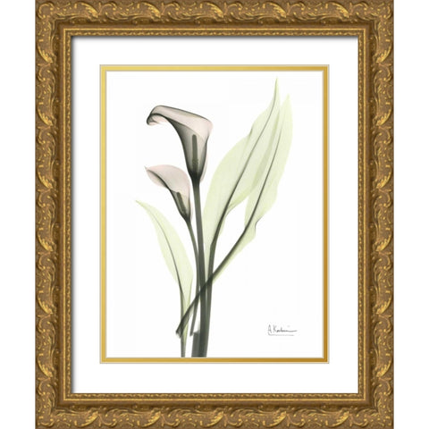 Calla - Marjorie Gold Ornate Wood Framed Art Print with Double Matting by Koetsier, Albert