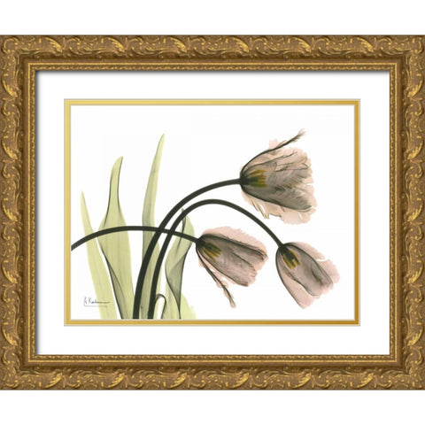 Tulips in the Wild Gold Ornate Wood Framed Art Print with Double Matting by Koetsier, Albert