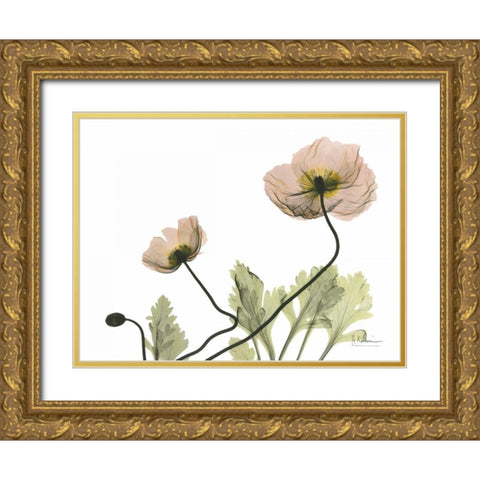 Amandas Iceland Poppies Gold Ornate Wood Framed Art Print with Double Matting by Koetsier, Albert