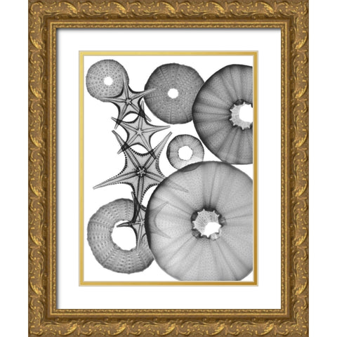 Universe Of Pythagoras Gold Ornate Wood Framed Art Print with Double Matting by Koetsier, Albert