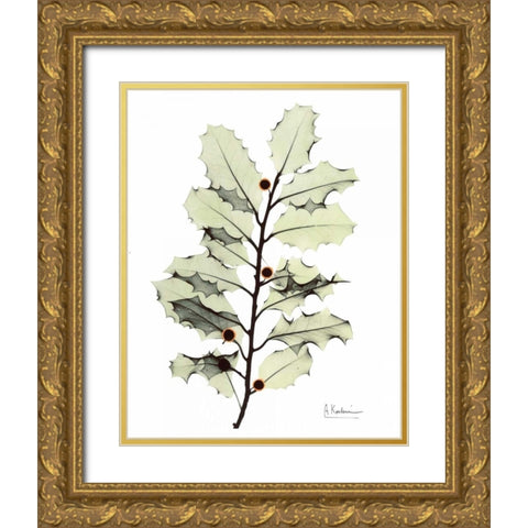 Holly in Green Gold Ornate Wood Framed Art Print with Double Matting by Koetsier, Albert