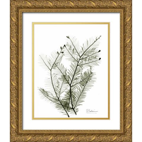 Evergreen in Green Gold Ornate Wood Framed Art Print with Double Matting by Koetsier, Albert