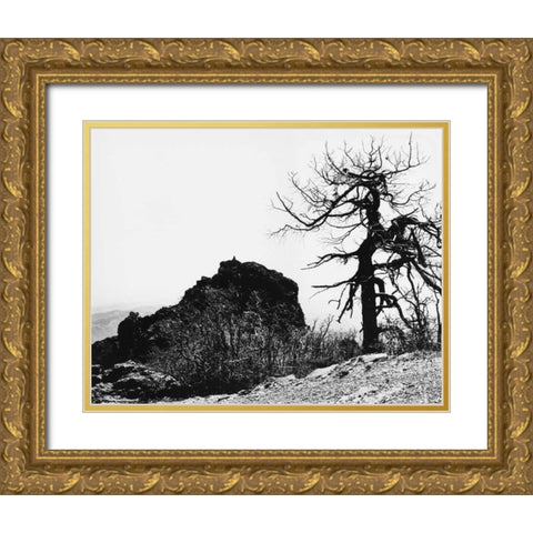 Bodi Kid Lookout Gold Ornate Wood Framed Art Print with Double Matting by Koetsier, Albert