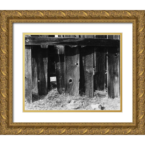 Bodi Fence Gold Ornate Wood Framed Art Print with Double Matting by Koetsier, Albert