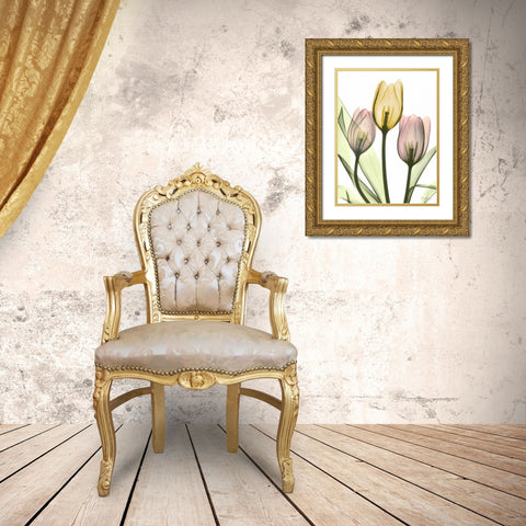 Gentle Tulips Gold Ornate Wood Framed Art Print with Double Matting by Koetsier, Albert