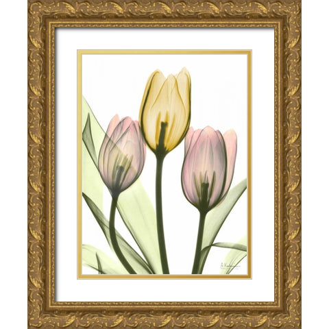 Gentle Tulips Gold Ornate Wood Framed Art Print with Double Matting by Koetsier, Albert