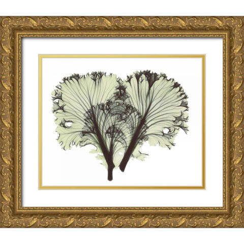 Kale in Green Gold Ornate Wood Framed Art Print with Double Matting by Koetsier, Albert