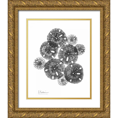 Sand Dollar Arrangement Gold Ornate Wood Framed Art Print with Double Matting by Koetsier, Albert