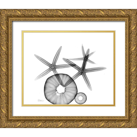 Starfish and Sea Urchin  Arrangement Gold Ornate Wood Framed Art Print with Double Matting by Koetsier, Albert