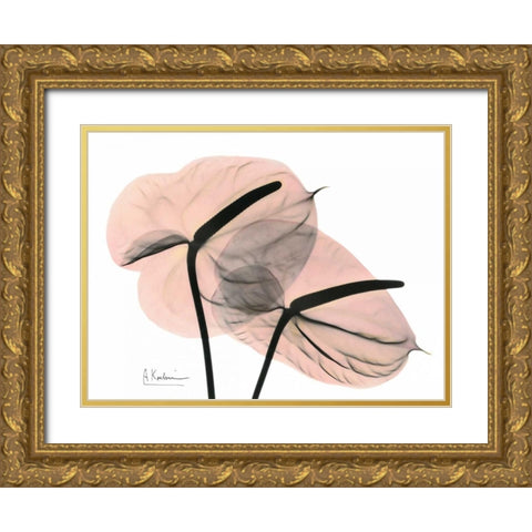 Pink Anthurium Gold Ornate Wood Framed Art Print with Double Matting by Koetsier, Albert