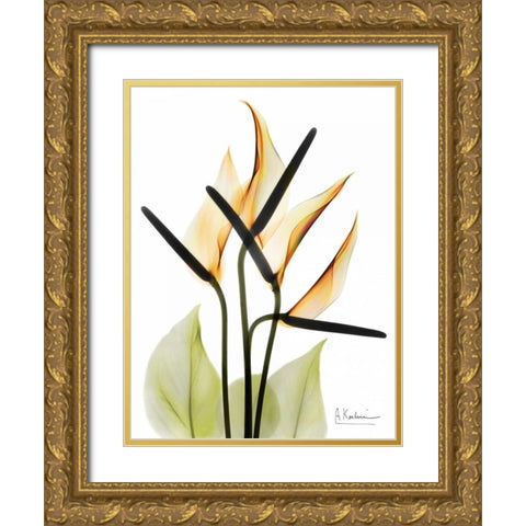 Anthurium Gold Ornate Wood Framed Art Print with Double Matting by Koetsier, Albert