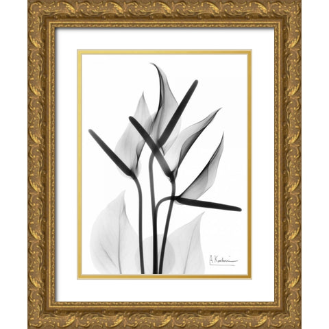 Anthurium in BandW Gold Ornate Wood Framed Art Print with Double Matting by Koetsier, Albert