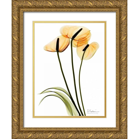 Anthurium Gold Ornate Wood Framed Art Print with Double Matting by Koetsier, Albert