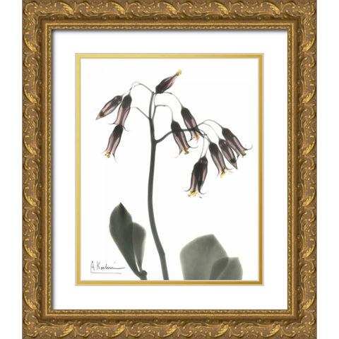 Kalan Chloe in Color Gold Ornate Wood Framed Art Print with Double Matting by Koetsier, Albert