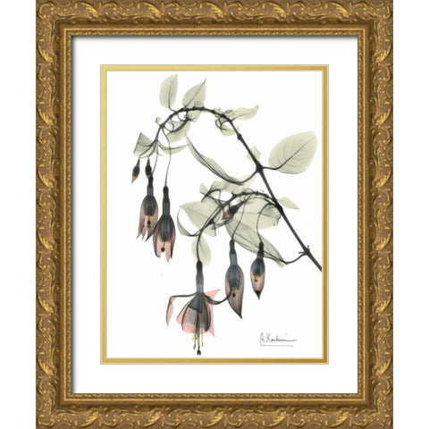 Fuchsia in Color Gold Ornate Wood Framed Art Print with Double Matting by Koetsier, Albert