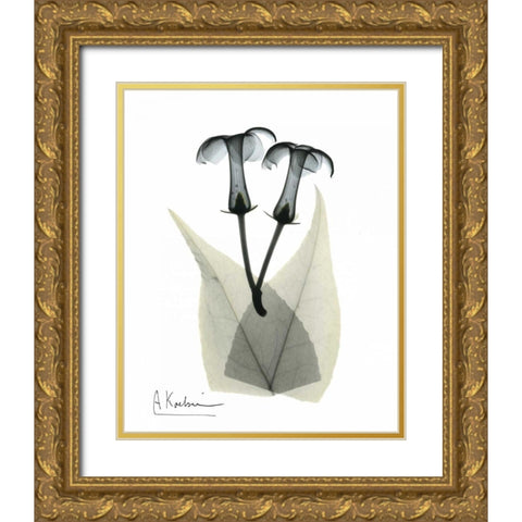 Stephanotis Pair  in Color Gold Ornate Wood Framed Art Print with Double Matting by Koetsier, Albert