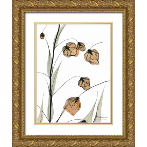 Sandersonia in Bloom Gold Ornate Wood Framed Art Print with Double Matting by Koetsier, Albert