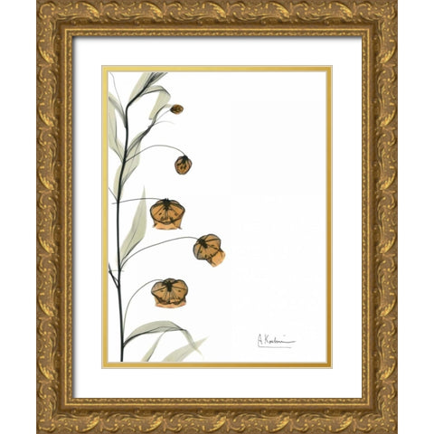 Sandersonia Bouquet  in Bloom Gold Ornate Wood Framed Art Print with Double Matting by Koetsier, Albert