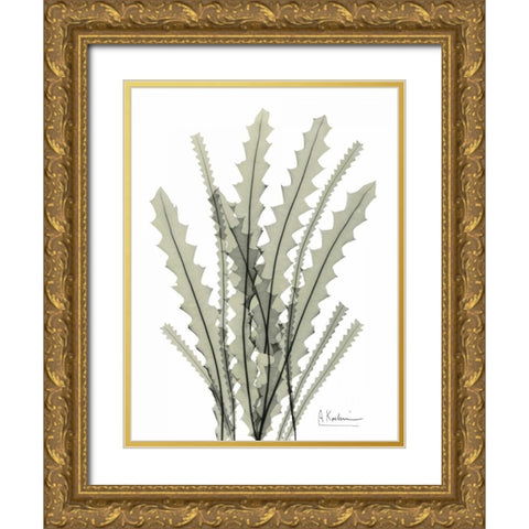 Banksia in Green Gold Ornate Wood Framed Art Print with Double Matting by Koetsier, Albert