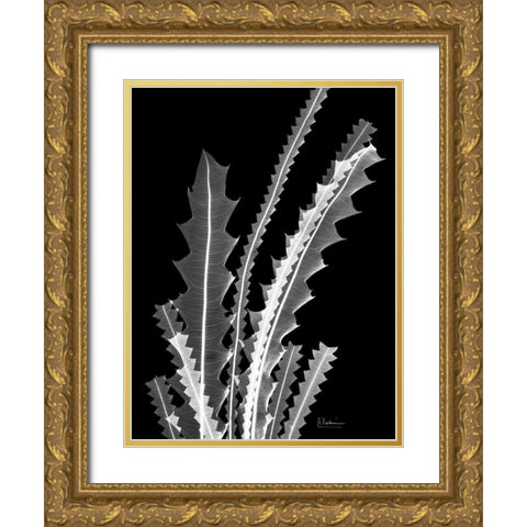 Banksia SE46 Gold Ornate Wood Framed Art Print with Double Matting by Koetsier, Albert