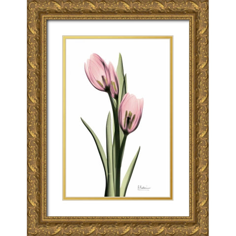 Annie Tulip Gold Ornate Wood Framed Art Print with Double Matting by Koetsier, Albert