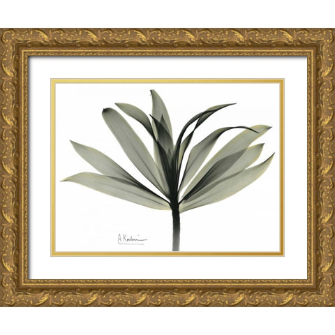 Sons of India Dracaena Gold Ornate Wood Framed Art Print with Double Matting by Koetsier, Albert