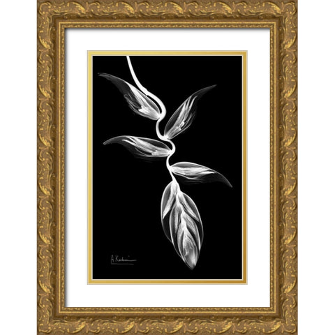 Heliconia BandW on Black Gold Ornate Wood Framed Art Print with Double Matting by Koetsier, Albert