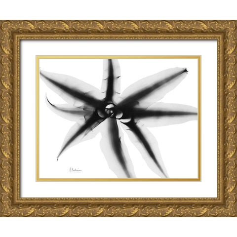 Cryptanthus Gold Ornate Wood Framed Art Print with Double Matting by Koetsier, Albert