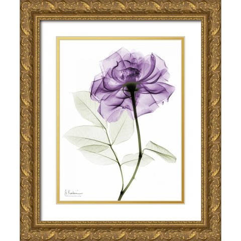 Purlpe Rose 2 Gold Ornate Wood Framed Art Print with Double Matting by Koetsier, Albert