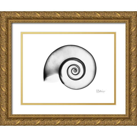 Ramshorn Snail Shell Gold Ornate Wood Framed Art Print with Double Matting by Koetsier, Albert