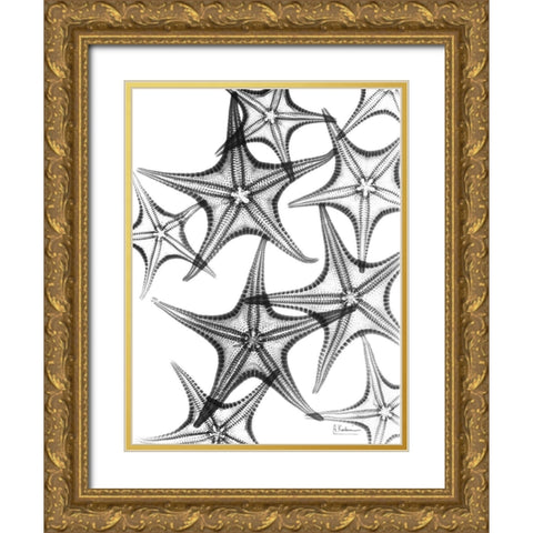 Starfish Gold Ornate Wood Framed Art Print with Double Matting by Koetsier, Albert