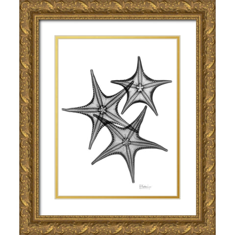 Starfish Gold Ornate Wood Framed Art Print with Double Matting by Koetsier, Albert