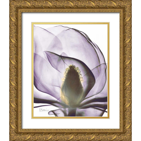 Purple Magnolia A43 Gold Ornate Wood Framed Art Print with Double Matting by Koetsier, Albert