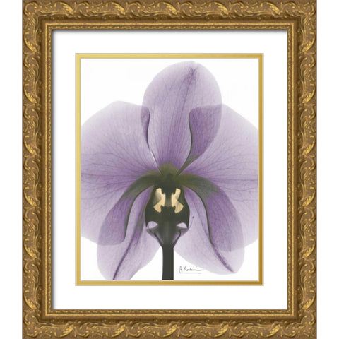 Purple Orchid A29 Gold Ornate Wood Framed Art Print with Double Matting by Koetsier, Albert
