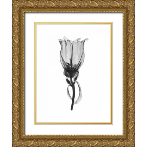 Canterbury Bell Gold Ornate Wood Framed Art Print with Double Matting by Koetsier, Albert