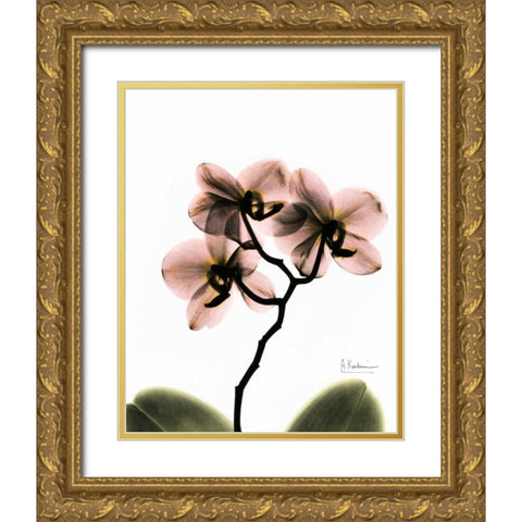 Orchid Trio Gold Ornate Wood Framed Art Print with Double Matting by Koetsier, Albert