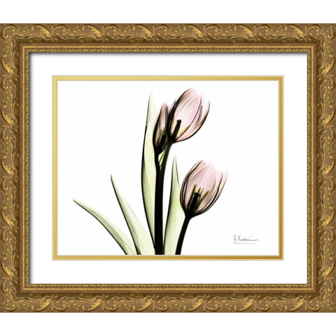 Tulip Love Gold Ornate Wood Framed Art Print with Double Matting by Koetsier, Albert