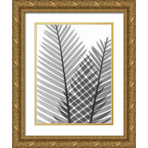 Tropical Fern 1 Gold Ornate Wood Framed Art Print with Double Matting by Koetsier, Albert