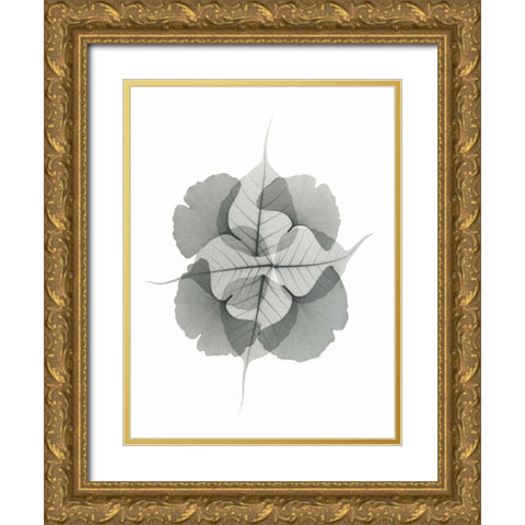 Kaleidoscope Sinko Gold Ornate Wood Framed Art Print with Double Matting by Koetsier, Albert