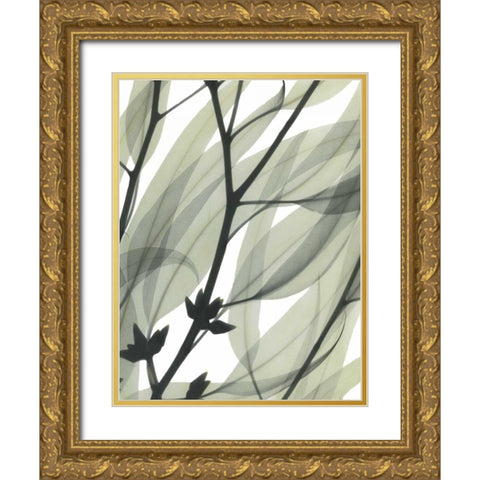 Eucalyptus Safari Gold Ornate Wood Framed Art Print with Double Matting by Koetsier, Albert