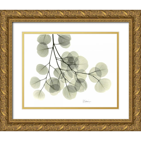 Eucalyptus Sweep Gold Ornate Wood Framed Art Print with Double Matting by Koetsier, Albert