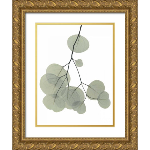 Descending Eucalyptus 3 Gold Ornate Wood Framed Art Print with Double Matting by Koetsier, Albert