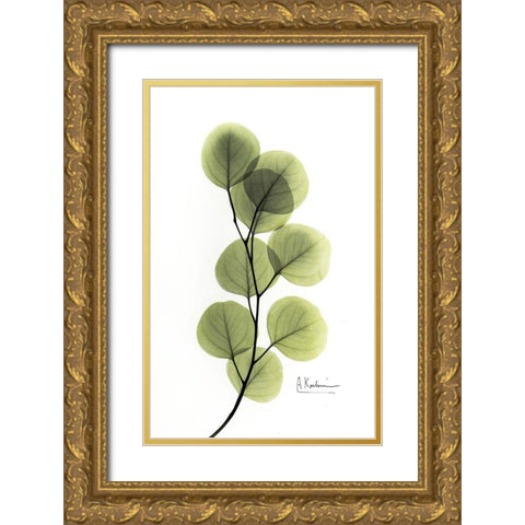 Eucalyptus Gold Ornate Wood Framed Art Print with Double Matting by Koetsier, Albert