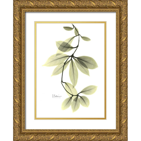 Hoya Carnosa Gold Ornate Wood Framed Art Print with Double Matting by Koetsier, Albert