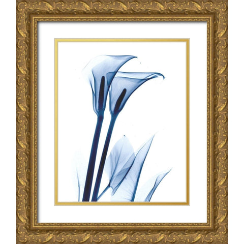 Calla Lily Indigo Gold Ornate Wood Framed Art Print with Double Matting by Koetsier, Albert