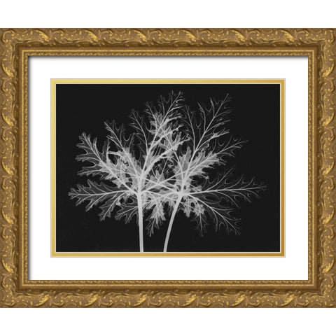 Leaves Seq Gold Ornate Wood Framed Art Print with Double Matting by Koetsier, Albert